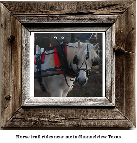 horse trail rides near me in Channelview, Texas